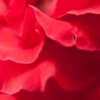 Closer8©JamesECockroft 20140907