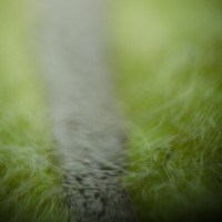 Petzval Macro10©JamesECockroft 20140927