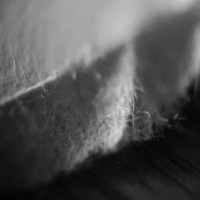 Petzval Macro12©JamesECockroft 20140927