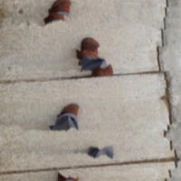 Panoply3©JamesECockroft 20140929