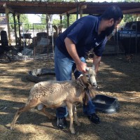 Udhiya27©JamesECockroft 20141004