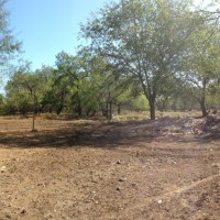 Udhiya64©JamesECockroft 20141004