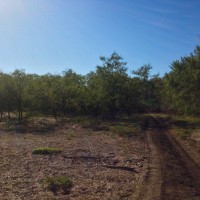 Udhiya6©JamesECockroft 20141004