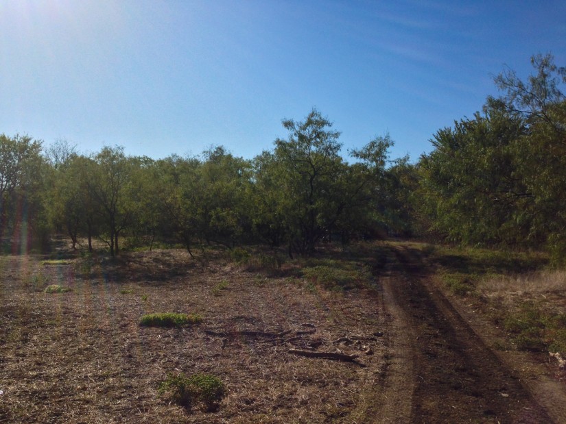 Udhiya6©JamesECockroft 20141004