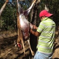 Udhiya70©JamesECockroft 20141004