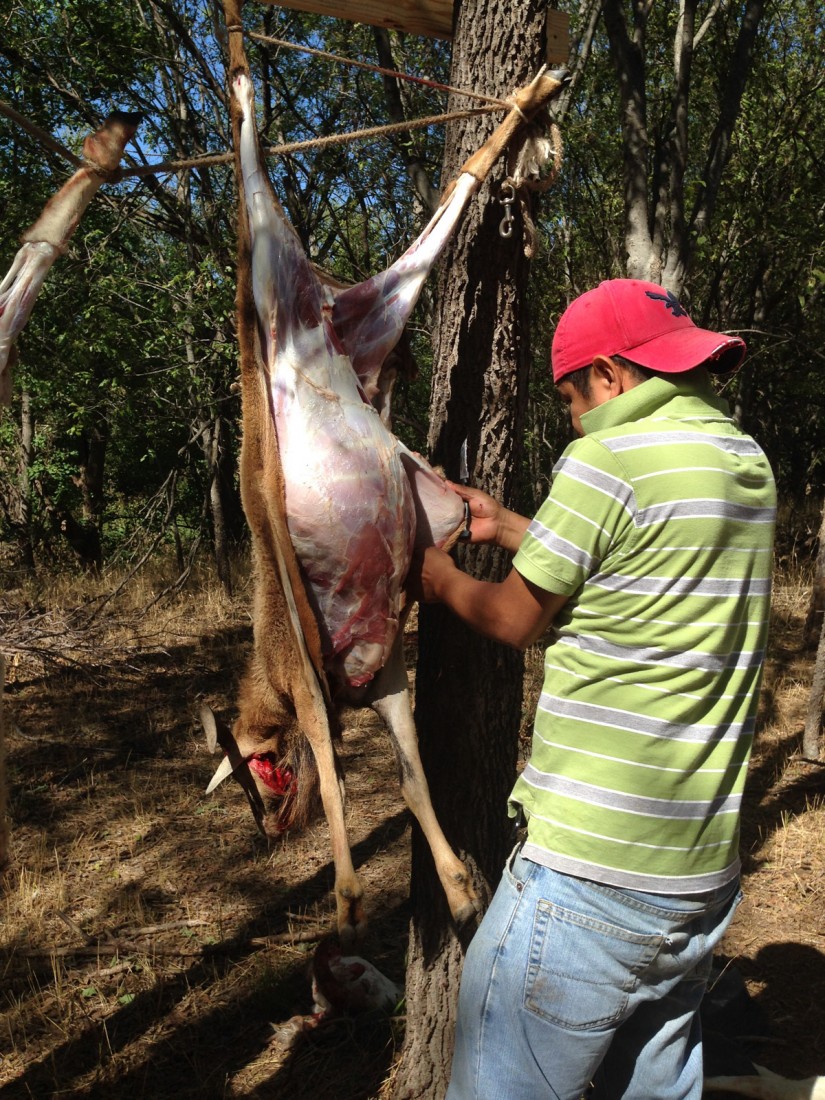 Udhiya70©JamesECockroft 20141004