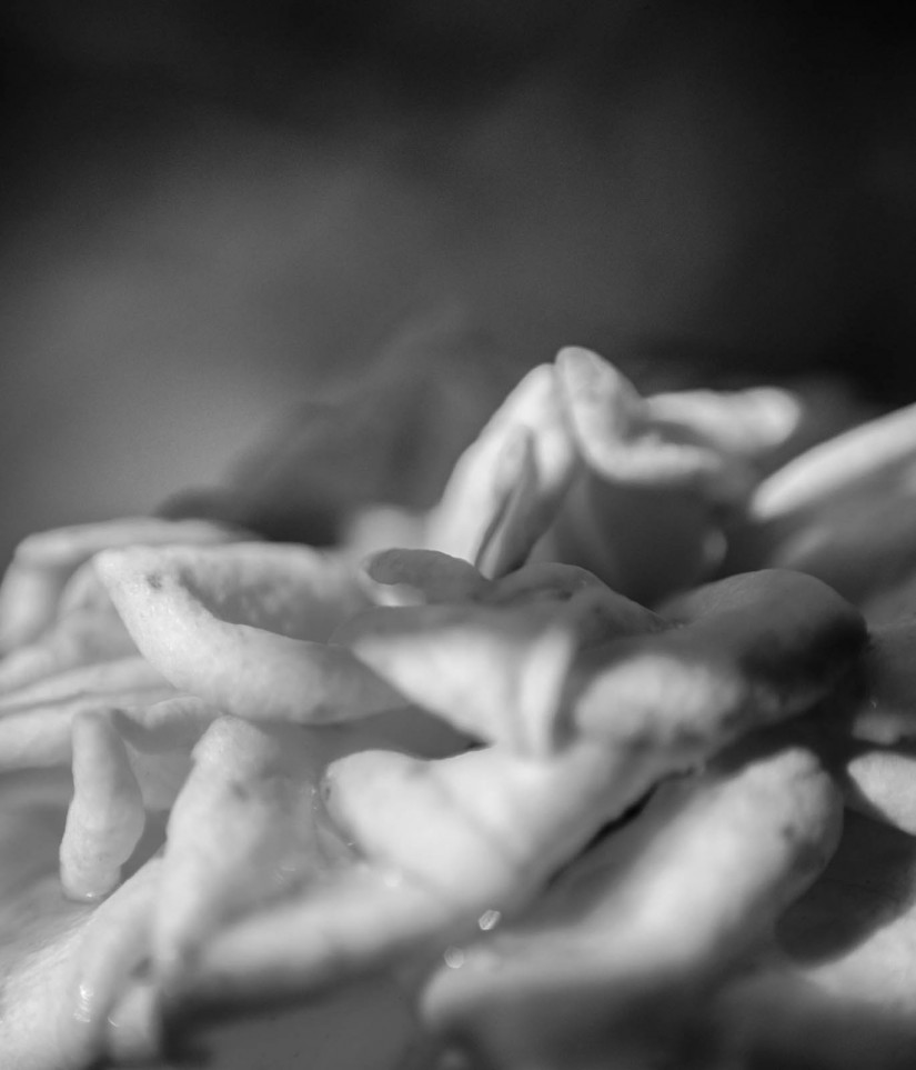 dead alive17©JamesECockroft 20121018