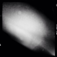 JohnS AO DLX1©JamesECockroft 20141105