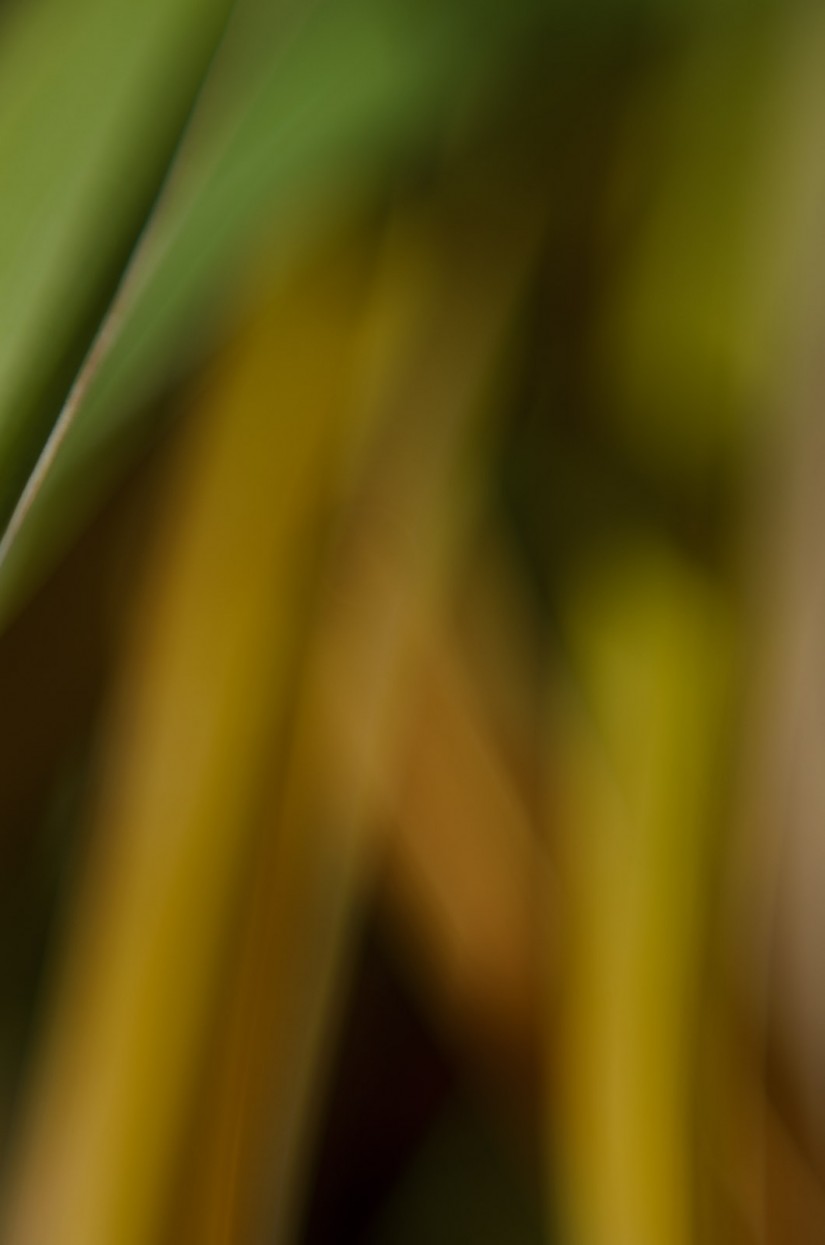 abstraktes bild1©JamesECockroft 20141123