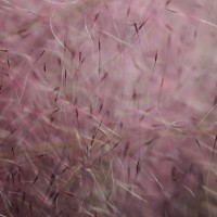 at the nursery1©JamesECockroft 20141101