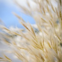 at the nursery2©JamesECockroft 20141101