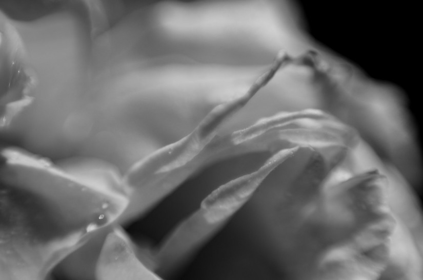 ethereal1©JamesECockroft 20141123