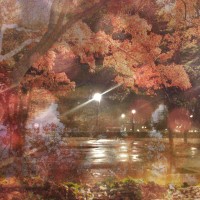 Diana App Review Pics 26©JamesECockroft 20140110