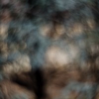 Fort Worth Botanical Gardens D700023©JamesECockroft 20140104