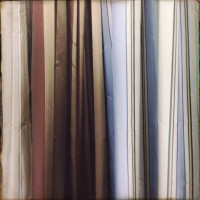 Golden dor 214©JamesECockroft 201408231