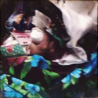 Golden dor 227©JamesECockroft 201408231