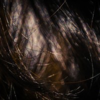 Hair Studies 29©JamesECockroft 20140803