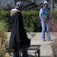 Random79©JamesECockroft 20141101