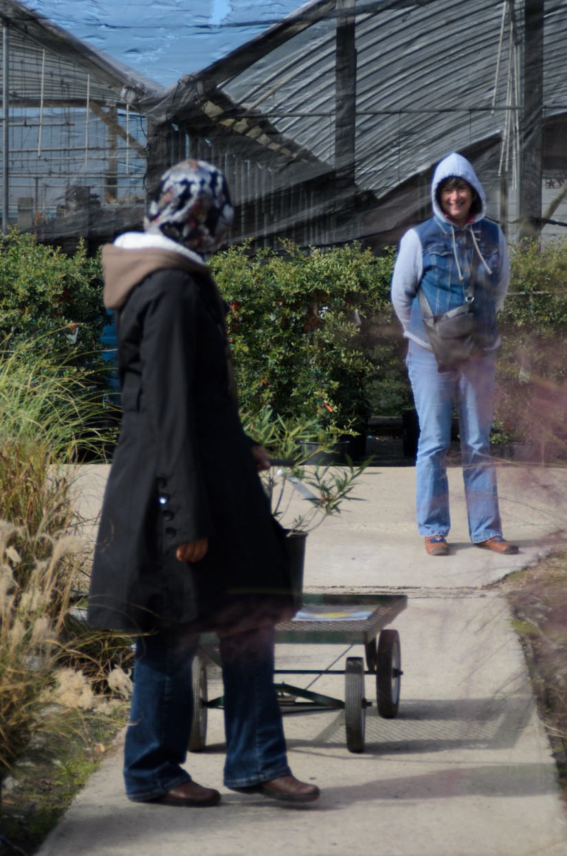 Random79©JamesECockroft 20141101