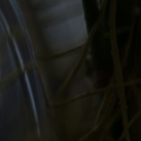 back to it6©JamesECockroft 20140414