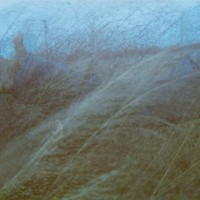 Espio 35 70 Lomo Color 1003©JamesECockroft 201412211