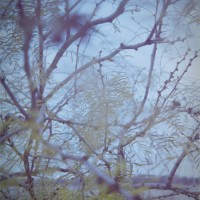 Espio 35 70 Lomo Color 1004©JamesECockroft 20141221