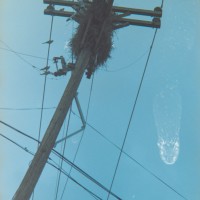 Espio 35 70 Lomo Color 1008©JamesECockroft 20141221