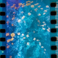 Not Enough Developer8©JamesECockroft 20141221