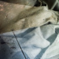 Lomo LC A1©JamesECockroft 20110605