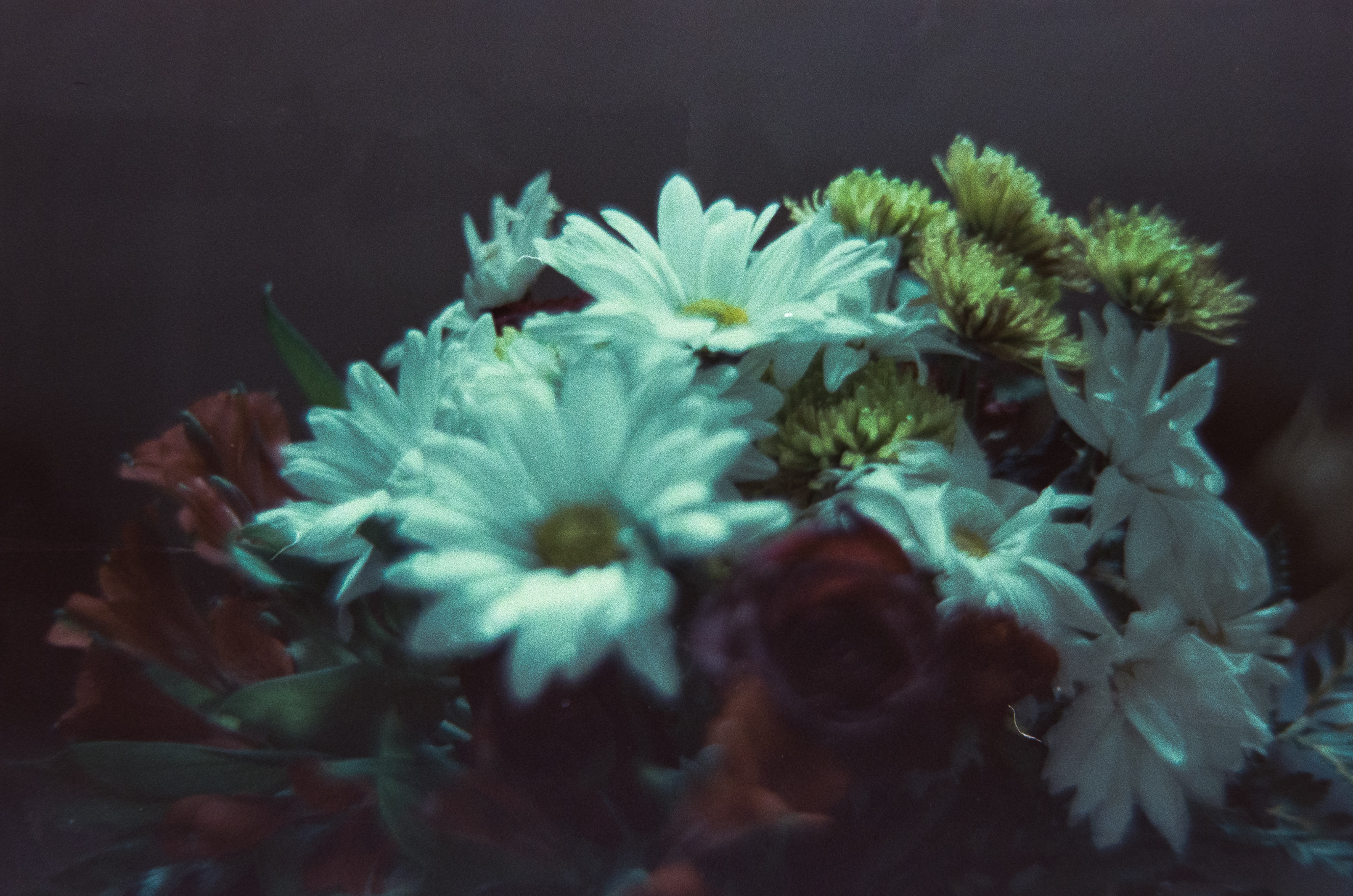 Lightroom 5 edit