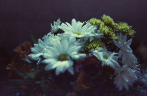 20150228 1552 Lightroom CC ©JamesECockroft 20150228