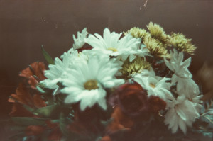 20150228 1552 Lightroom Original ©JamesECockroft 20150228