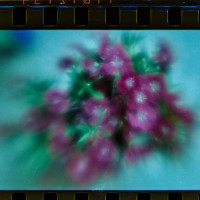 20150426 170049 Lens Tests 3 ©JamesECockroft