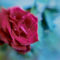 20150426 170109 Lens Tests 5 ©JamesECockroft