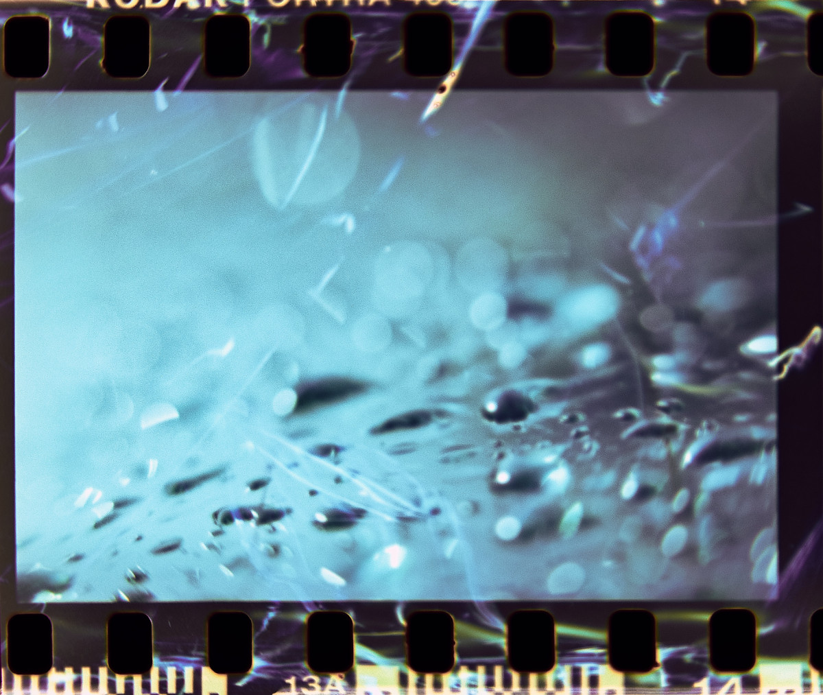 20150426 170726 Lens Tests 15 ©JamesECockroft Capture One 2