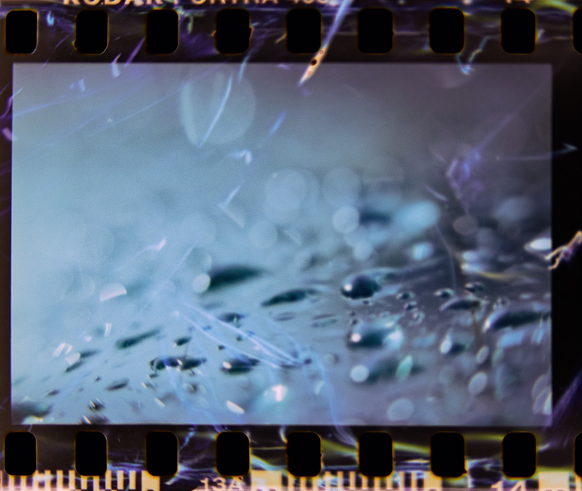 20150426 170726 Lens Tests 15 ©JamesECockroft c1p2