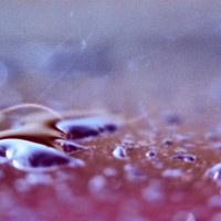 20150426 170731 Lens Tests 16 ©JamesECockroft