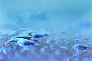 20150426 170731 Lens Tests 16 ©JamesECockroft jpeg