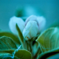 20150426 170923 Lens Tests 20 ©JamesECockroft