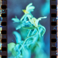 20150426 170948 Lens Tests 24 ©JamesECockroft