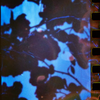 20150426 171300 Lens Tests 31 ©JamesECockroft