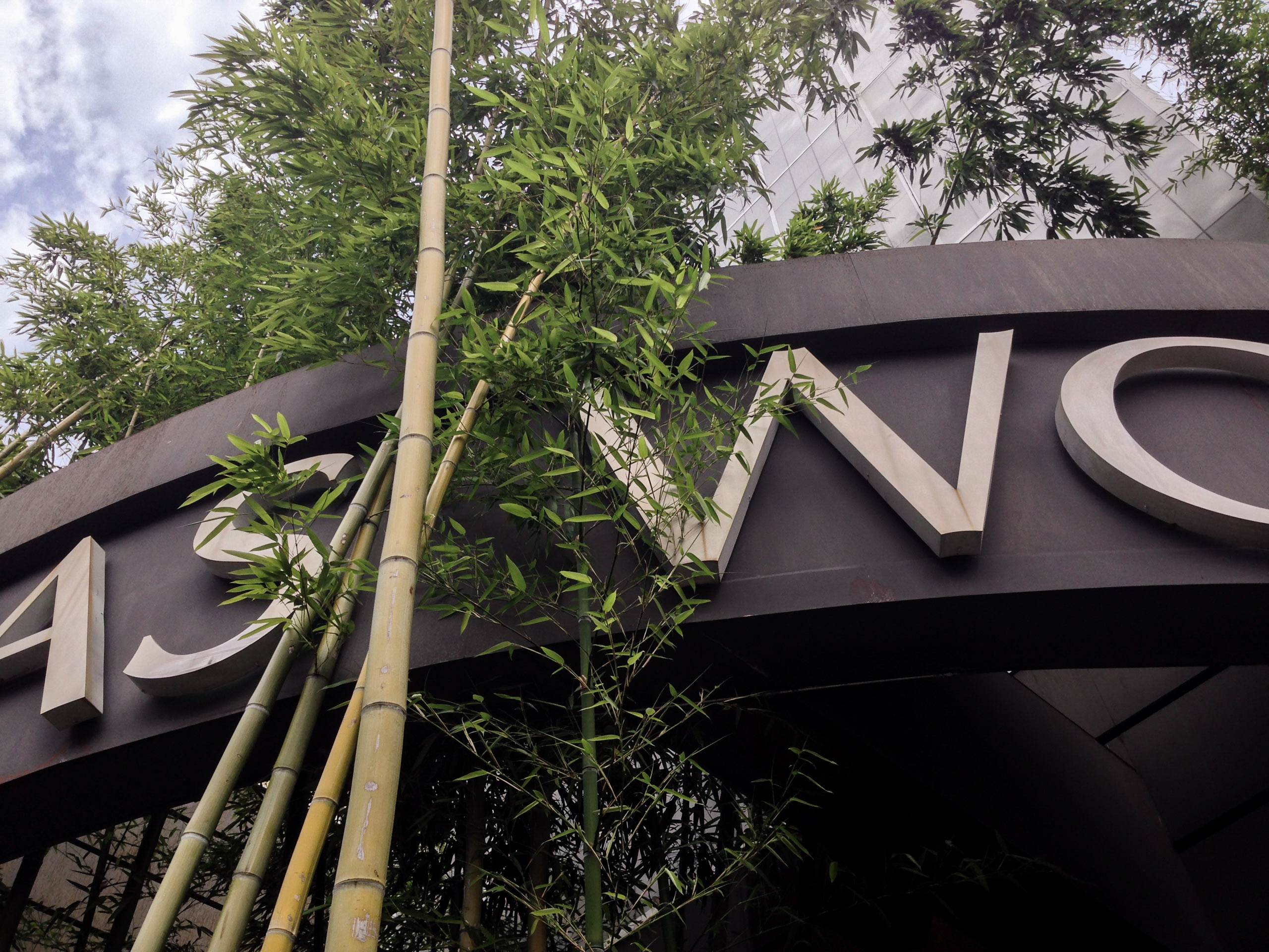 20150524 1553 Dallas World Aquarium ©JamesECockroft 9303