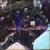 20150524 1607 Dallas World Aquarium ©JamesECockroft 9319