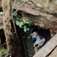 20150524 1611 Dallas World Aquarium ©JamesECockroft 9333