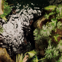 20150524 1620 Dallas World Aquarium ©JamesECockroft 9345