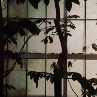 20150524 1621 Dallas World Aquarium ©JamesECockroft 9348