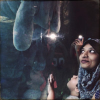 20150524 1634 Dallas World Aquarium ©JamesECockroft 9378