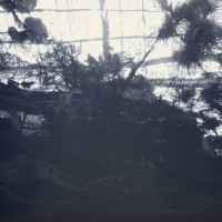 20150524 1653 Dallas World Aquarium ©JamesECockroft 9429