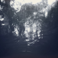 20150524 1653 Dallas World Aquarium ©JamesECockroft 9430