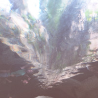 20150524 1654 Dallas World Aquarium ©JamesECockroft 9434